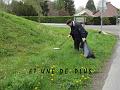 IMG_1791_3